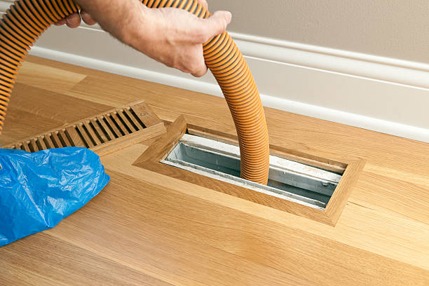 Affordable HVAC Duct Cleaning in Northdale, FL